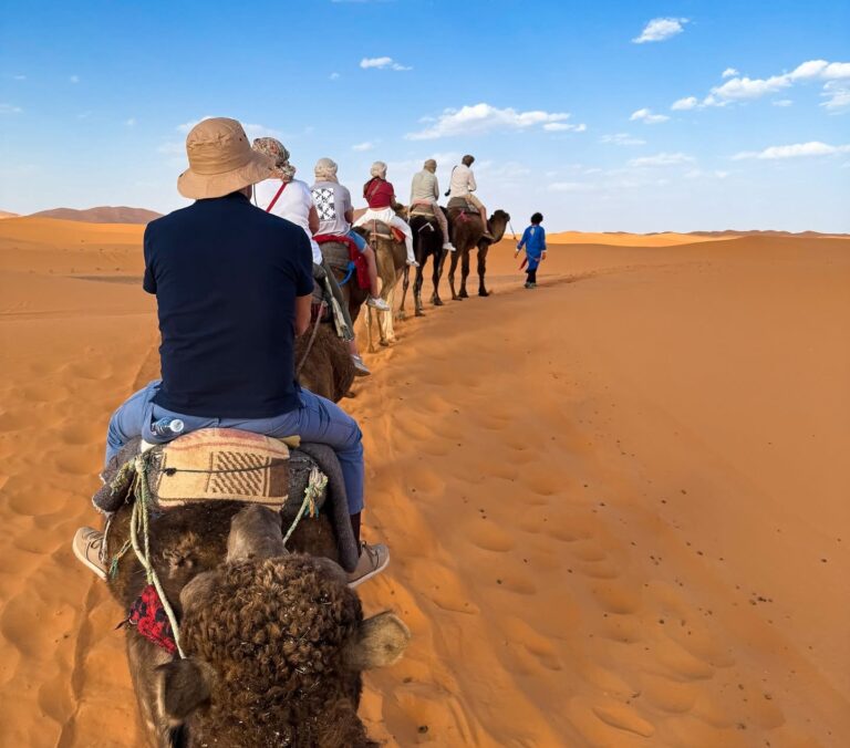Sahara Shared Tour from Marrakech
